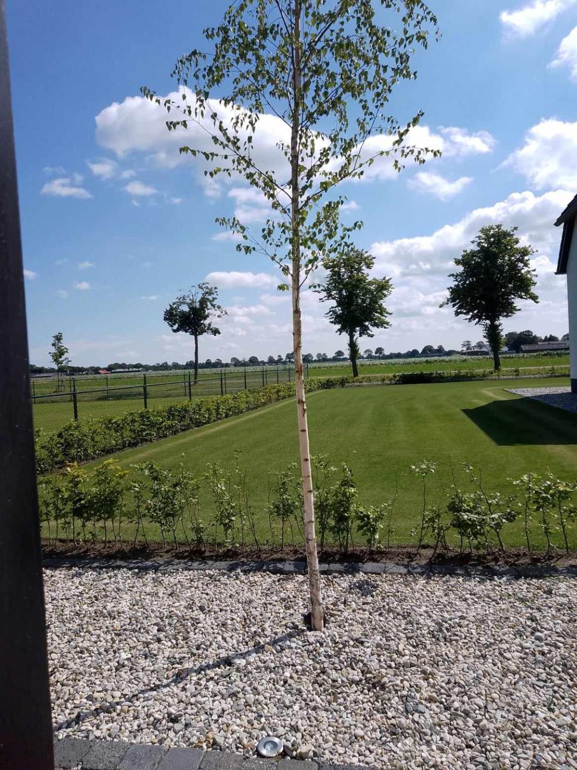 Ut Witte Huisje Venhorst Exterior foto
