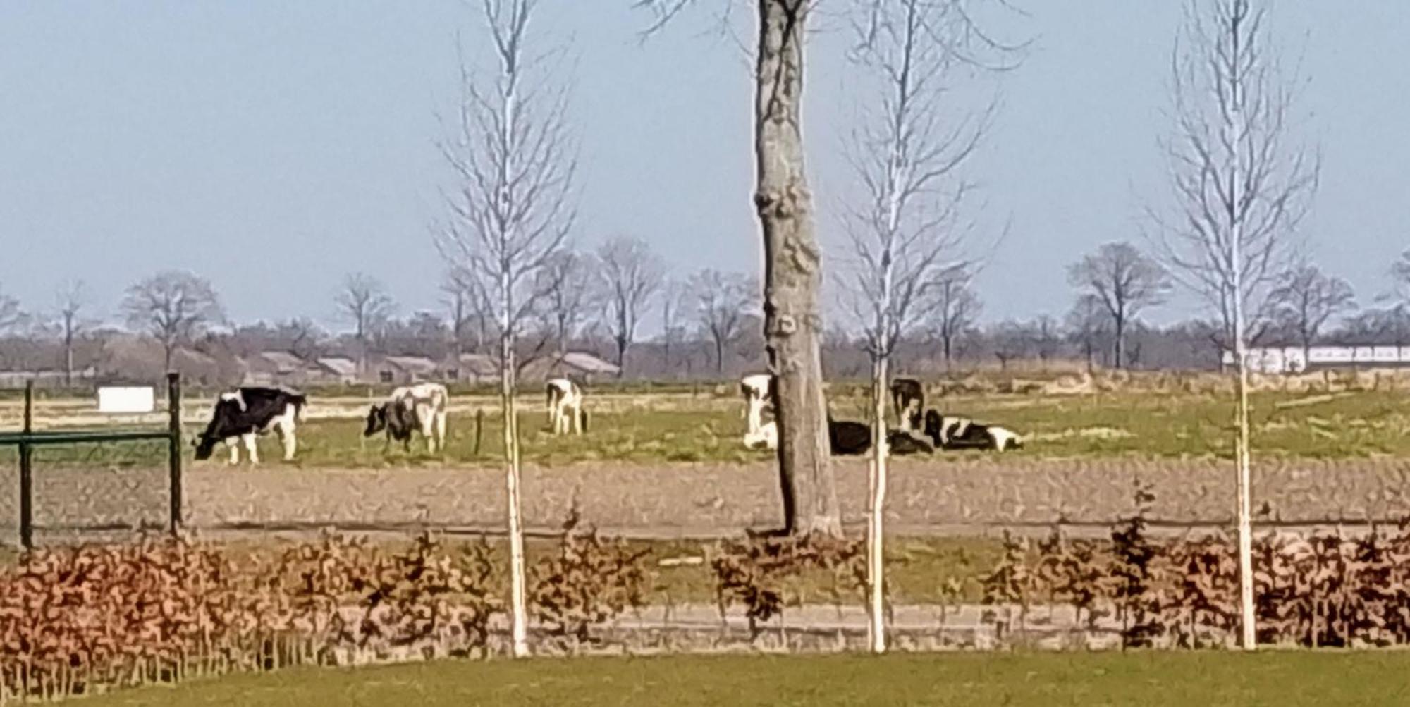 Ut Witte Huisje Venhorst Exterior foto